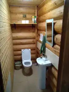 Бревенчатый дом в лесу - 32