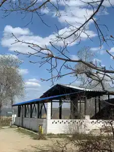 Черёмушки - 5
