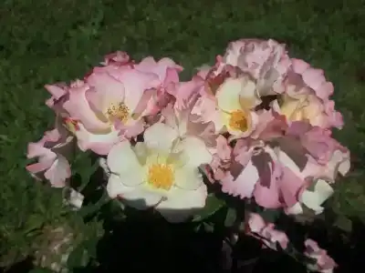 Частный дом на Октябрьской 36 - 27