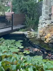 Казантипская хижина - 86