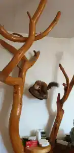 Река Времени - 41