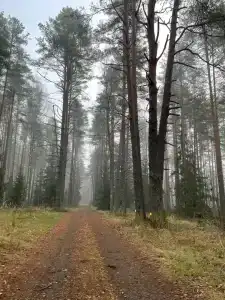 Озеро Великое - 9