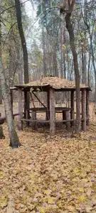 Лесное - 41