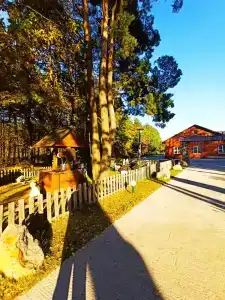 Бабушкина хата - 0