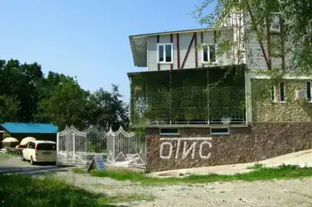 Отис - 19
