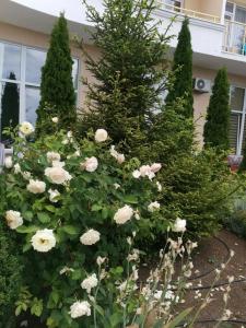 Бартон Парк - 28