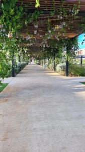 Live Aqua Beach Resort Punta Cana - All Inclusive - Adults Only - 32