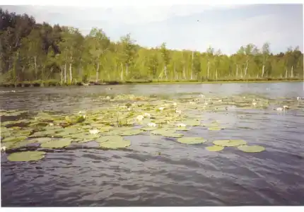 Садху - 34