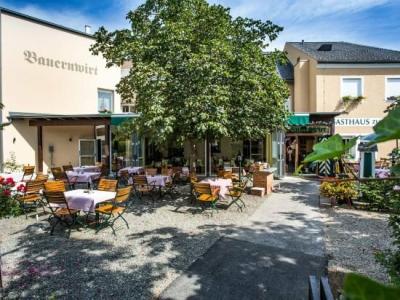 Bauernwirt - 0