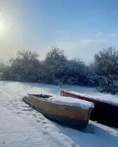 Золотой плав - 29