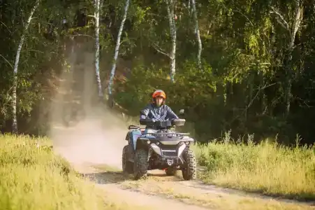 ForestHouse Лесной домик - 80