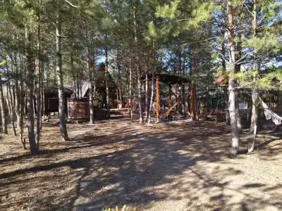 Вилли - 47