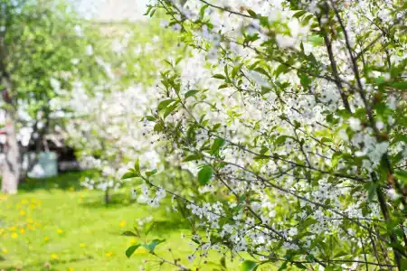 Александровский - 3