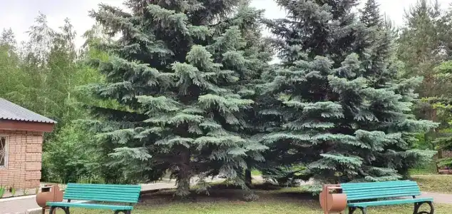 Волга - 75