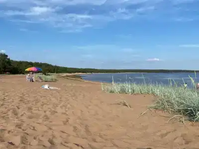 Бухта желтая - 97