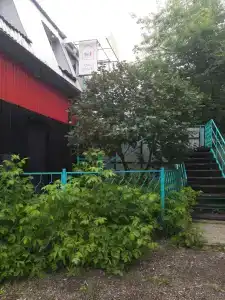 Семейный - 1