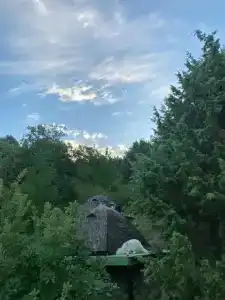 Наша Чаша - 23