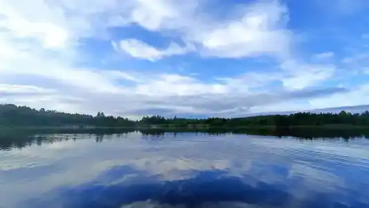 Четыре сезона - 24