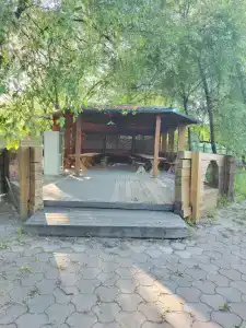 Зеленая - 29