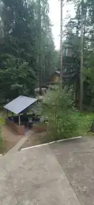 Тонус - 34