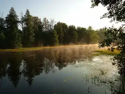 Улыбышево - 41