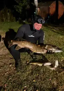 Вектор - 23