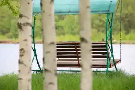 Лесное озеро - 8