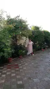 Роза Ветров - 41