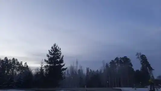 Галдым - 38