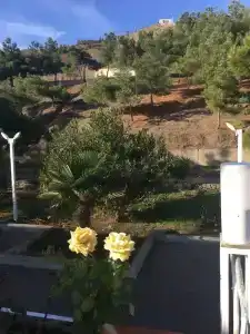 Porto Mare azzurro - 14