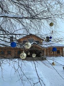 Усадьба Долгорукий - 36