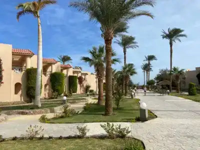 Ali Baba Palace -Families and Couples Only- - 1