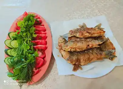Апачиклаб - 26