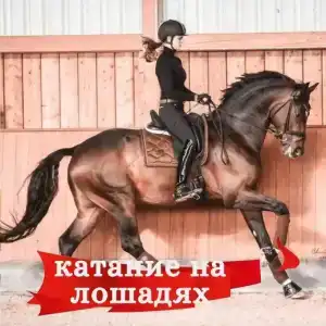 Алые паруса - 41