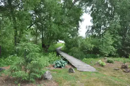 ГаммаСофт - 33