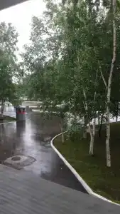 Эхо - 19