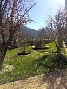 Capriolo - 4