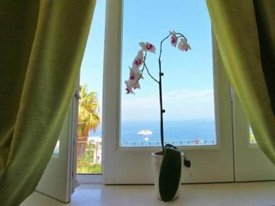 Capri Wine - 1