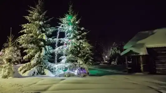 Подсолнухи - 30