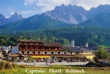 Capriolo - 3