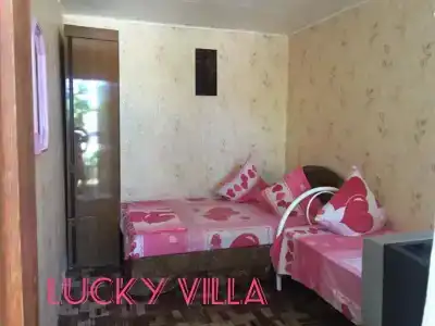 Lucky - 15