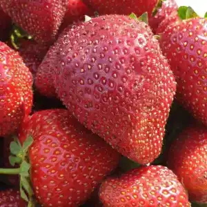 Карельская сказка - 55