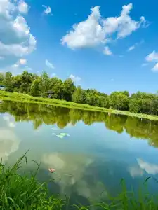 Хуторок - 4