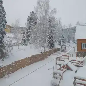 Сердце Сибири - 37