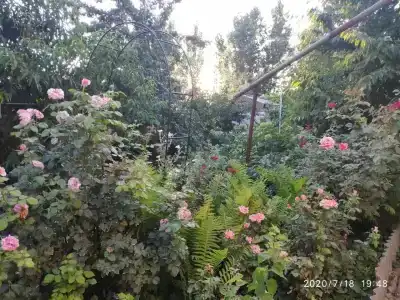 Рыбалка в Мумре Гостевой Дом - 31