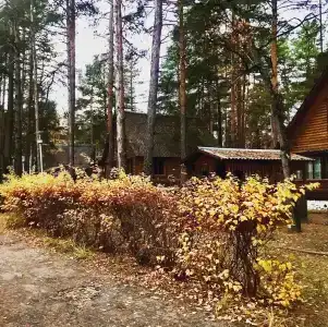 Улыбышево - 20