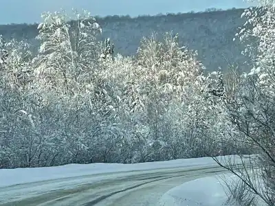 Искушта Хаятт - 40