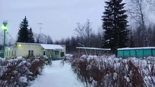 Зелёный остров - 94