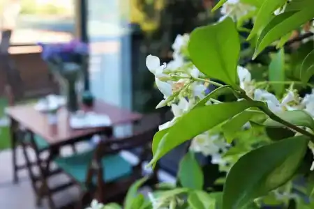 Triada Büyükada - 28