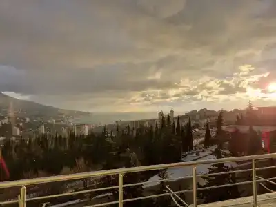 Борода - 18